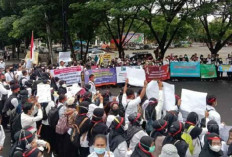 Cek Daerah yang Paling Minim Meluluskan P1 Hasil Seleksi PPPK