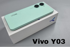 Vivo Y03, Ponsel Terjangkau dengan Performa Gahar dan Baterai Jumbo