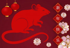 Ramalan Shio Kuda, Shio Kelinci, Shio Ular, Shio Macan, Shio Naga Hari Ini