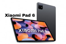 Spesifikasi Lengkap Xiaomi Pad 6, Tablet Mewah dengan Harga Terjangkau