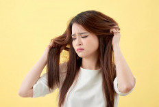 Rambut Tipis? Kenali Penyebabnya dan Temukan Solusinya