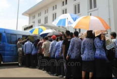 11 Ribu Honorer Teknis Administrasi Siap-Siap Diangkat PPPK, Data Clear Tanpa Bodong