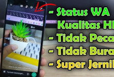 Video Story WA Pecah? Coba 5 Cara Ini Biar Tetap HD