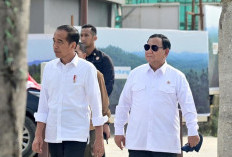 Presiden Jokowi Ungkap ada 472 Investor Minat ke IKN