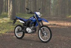 Kelebihan dan Kekurangan Yamaha WR155R, Motor Trail Tangguh dengan DNA Sport