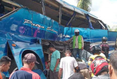 Identitas 26 Korban Laka Bus - KA di OKU Timur 