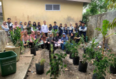 Sulap Kantor Kelurahan jadi Penghijauan; Mahasiswa KKN di Sungai Medang Bantu Anak Stunting 