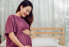 5 Manfaat Alpukat untuk Mendukung Kehamilan Sehat