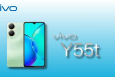 Vivo Y55T Resmi Hadir, Andalkan Chipset Dimensity dan Layar FHD+