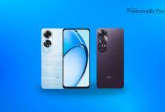 OPPO A60: HP Stylish dengan Layar Jernih & Baterai Tahan Lama