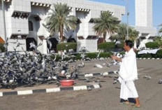 Jelang Wukuf, Masjid Tan’im Jadi Tujuan Populer Jemaah untuk Umrah Sunnah