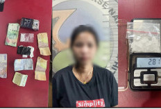 Nyambi jadi Kurir Sabu, Mama Muda di Prabumulih Ditangkap Satreskoba saat Hendak Transaksi