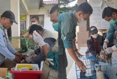 Sediakan 300 Dosis, Dinas Pertanian Prabumulih Vaksin Rabies Gratis