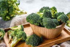 Simak! Ini 6 Makanan Mampu Tingkatkan Kecerdasan Otak, Salah Satunya Brokoli