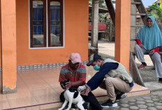 Prabumulih Catat 8 Kasus Gigitan Hewan Rabies, Dinas Pertanian Intensifkan Vaksinasi