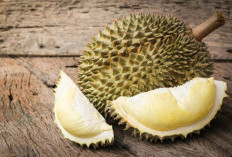 5 Manfaat Durian untuk Tubuh yang Belum Banyak Diketahui