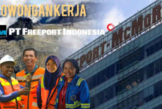 Jangan Ketinggalan! PT Freeport Indonesia Buka Lowongan Kerja Penempatan Jawa Timur 