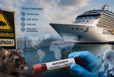 Klaster Hantavirus di Kapal Pesiar Gegerkan Dunia, Indonesia Diminta Siaga