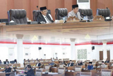 Tahun Ini, DPRD Kabupaten Ogan Ilir Ajukan 5 Raperda Inisiatif untuk Dibahas