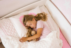 Manfaat Tidur Siang bagi Kesehatan dan Produktivitas Sehari-hari