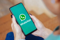 Cara Mudah Login WhatsApp Tanpa Kartu SIM