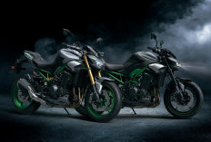 Dua Motor Pilihan dengan Desain Maskulin, Kawasaki Z900 Vs Z900 SE