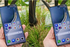 5 Smartphone Mid-Range dan Flagship Terbaik Semester II 2026, Performa Kencang dan Fitur Lengkap