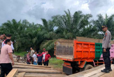 100 Balok Kayu Ditemukan di Hutan Pangkalbuluh, Ilegal Logging?