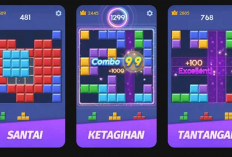 Main Game, Dapat Uang! Color Block Tawarkan Saldo DANA Hingga Rp450.000