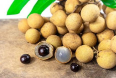 Memiliki Rasa Khas dan Manis, Ini 3 Manfaat Buah Kelengkeng Untuk Kesehatan