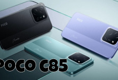 5 HP RAM 8 GB Harga Terjangkau 2026, Ada yang Pakai Layar AMOLED 120 Hz