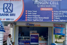 Nasabah di Kecamatan Rupit Nikmati Ragam Keuntungan BRILink