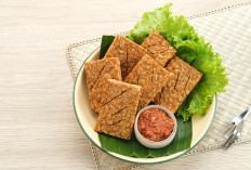 Rahasia Tempe: Dari Protein Nabati hingga Pelindung Otak