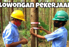 PT Hutan Musi Persada Buka Lowongan Kerja 2026, Ini 6 Posisi yang Tersedia di Sumatera Selatan