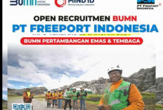 Deadline 4 Februari! PT Freeport Indonesia Buka Lowongan Kerja Khusus Sarjana