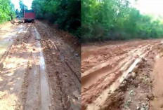 Viral Curhatan Jalan Rusak Warga Desa Kuang Dalam di Medsos, Begini Respon Dinas PUPR Ogan Ilir