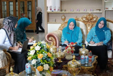 Lawan Kanker Serviks Sejak Dini, TP PKK Prabumulih Siap Kawal Program IVA