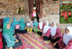 Ketua PKK Kemang Tanduk - Kader Door to Door Bagikan Susu; Upaya Mencegah Stunting dan Gizi Buruk 