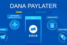 Pinjaman Kilat Lewat DANA? Begini Cara Cairkan Dana PayLater ke Rekening