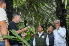 Dukung Swasembada Energi, Menhut Siapkan Kawasan Hutan untuk Pengembangan Bioethanol