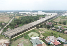 Tol Palembang-Jambi Digeber, Trans Sumatera Segera Tersambung dan Pangkas Waktu Tempuh