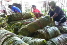 Petani Tembakau Tolak Keras Pengetatan Aturan Rokok, Ini Alasannya