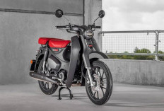 Motor Kembar Beda Nasib, Intip Perbandingan Honda Supercub C125 Vs Honda CT125