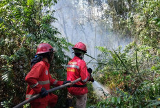 Patroli Udara Deteksi Karhutla di Ogan Ilir, Personel Langsung Lakukan Pemadaman