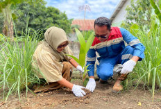 PEP Pendopo Field Tanam 2.000 Pohon Pinang, Perkuat Ekonomi Warga Musi Rawas