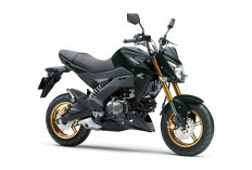 Inovasi Terbaru Milik Kawasaki, Z125 2025 Miliki Desain Unik Supernaked