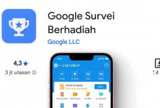 Tanpa Modal dan Tanpa Undang Teman, Ini Cara Dapat Saldo dari Google Opinion Rewards
