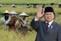 Prabowo Longgarkan Impor, Pemerintah Jamin Petani Tak Tersisih