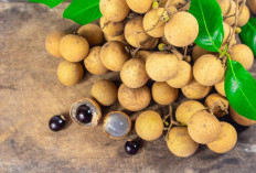 Meningkatkan Sistem Kekebalan Tubuh, Ini Manfaat Alami Buah Kelengkeng
