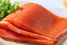Benarkah Memberi Anak Ikan Salmon Sejak Dini Bisa Bikin Otak Lebih Cerdas? Cek Faktanya Disini